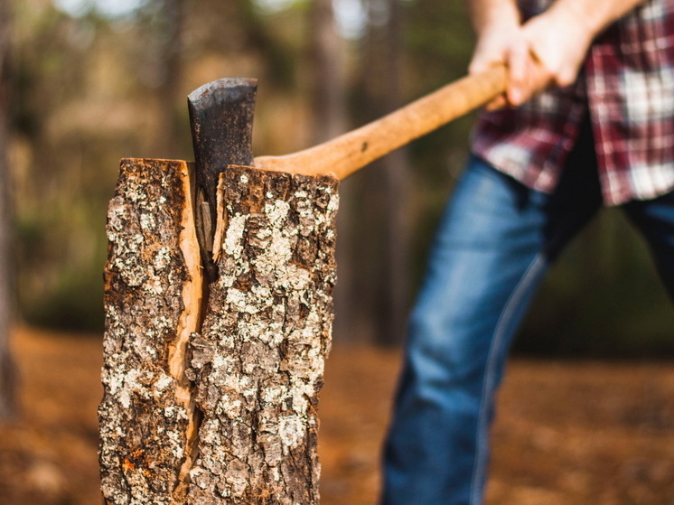Назван ТОП-6 продуктов для улучшения эрекции в зрелом возрасте