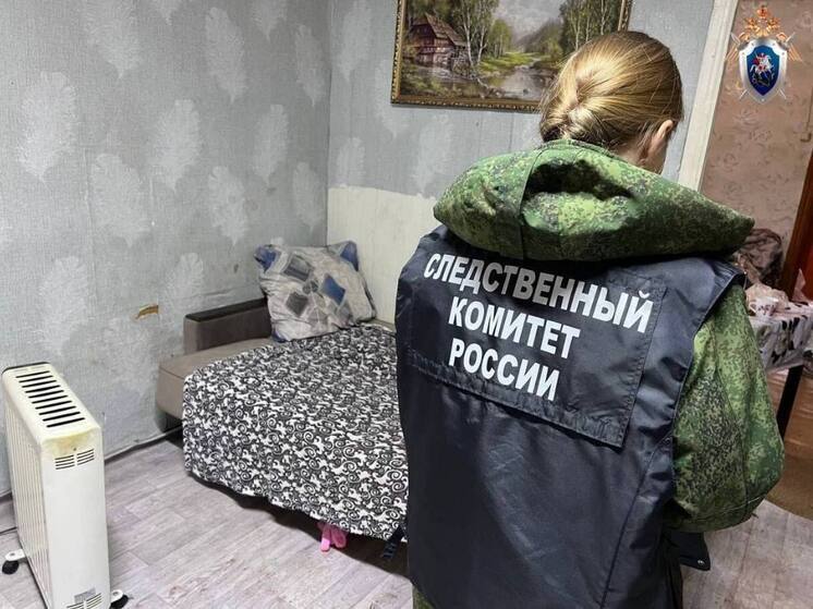 Жительницу Юрино подозревают в смертельном нападении на бывшего мужа