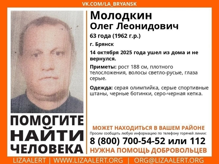 В Брянске ведутся поиски пропавшего Олега Молодкина