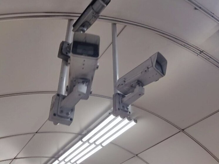 Петербург стал лучшим в контрольно-надзорной деятельности по стране