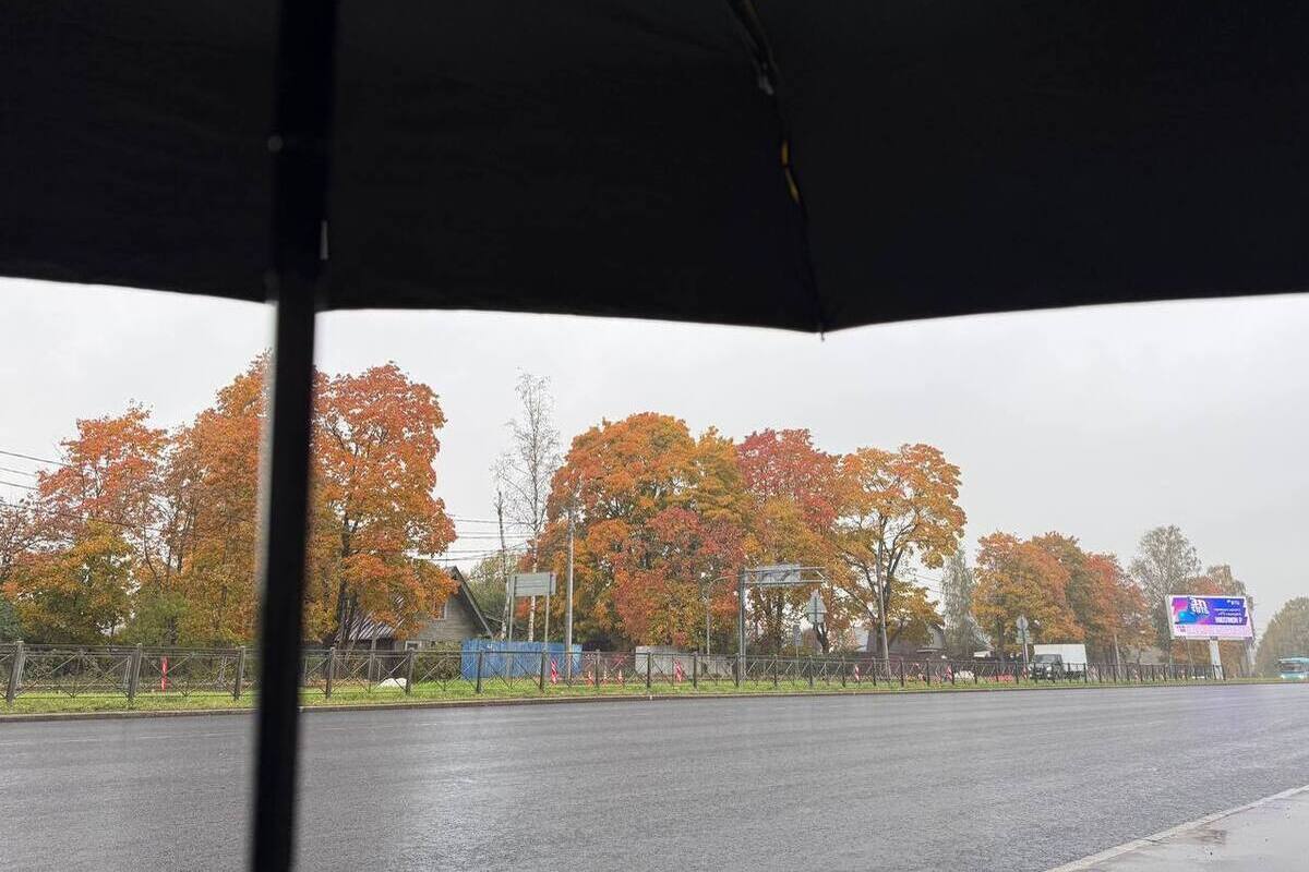 Дожди и ветер накрыли Калининград