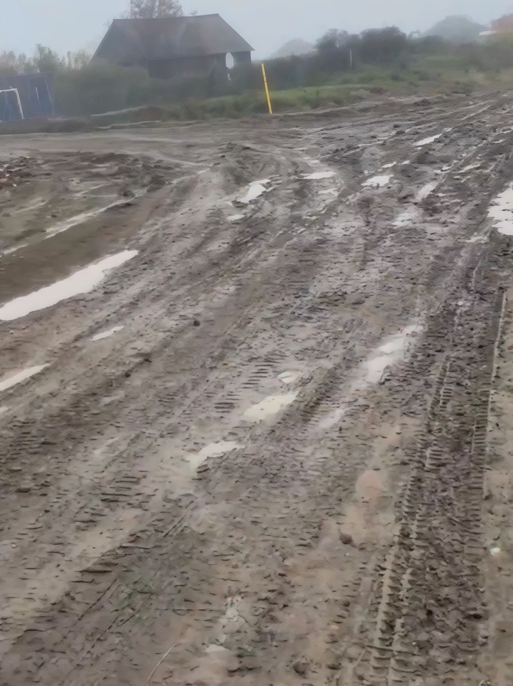 Бастрыкин поручил возбудить уголовное дело из-за разрушенных дорог в томском селе Бакчар