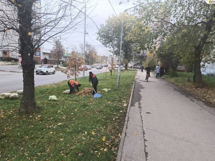 Опавшую листву в ближайшие часты будут убирать на 6 улицах Тулы