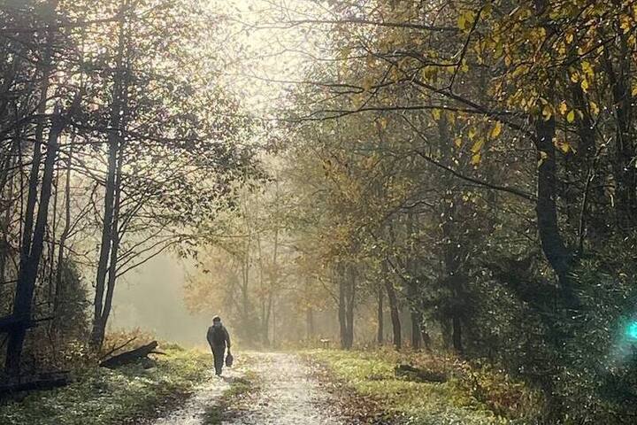 Синоптик рассказал о погоде в Москве и области в выходные и на следующей неделе