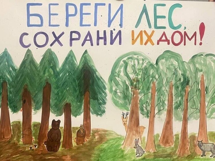 Школьники Новосёловского района показали важность леса в творческом конкурсе