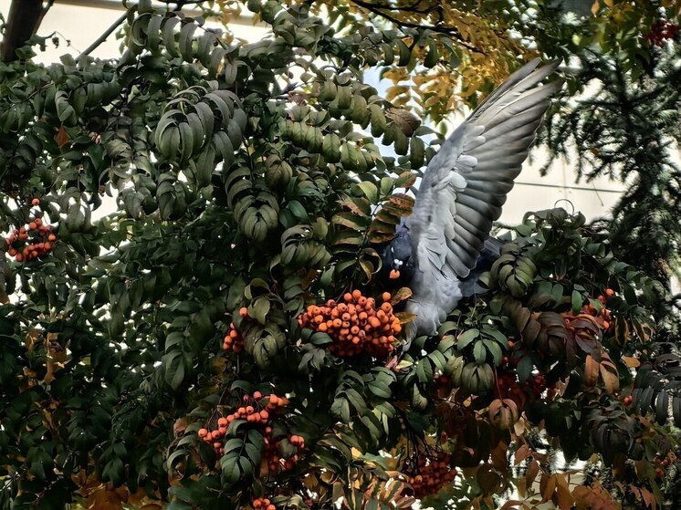 Воскресный день порадует жителей Хакасии солнечной погодой и ветерком