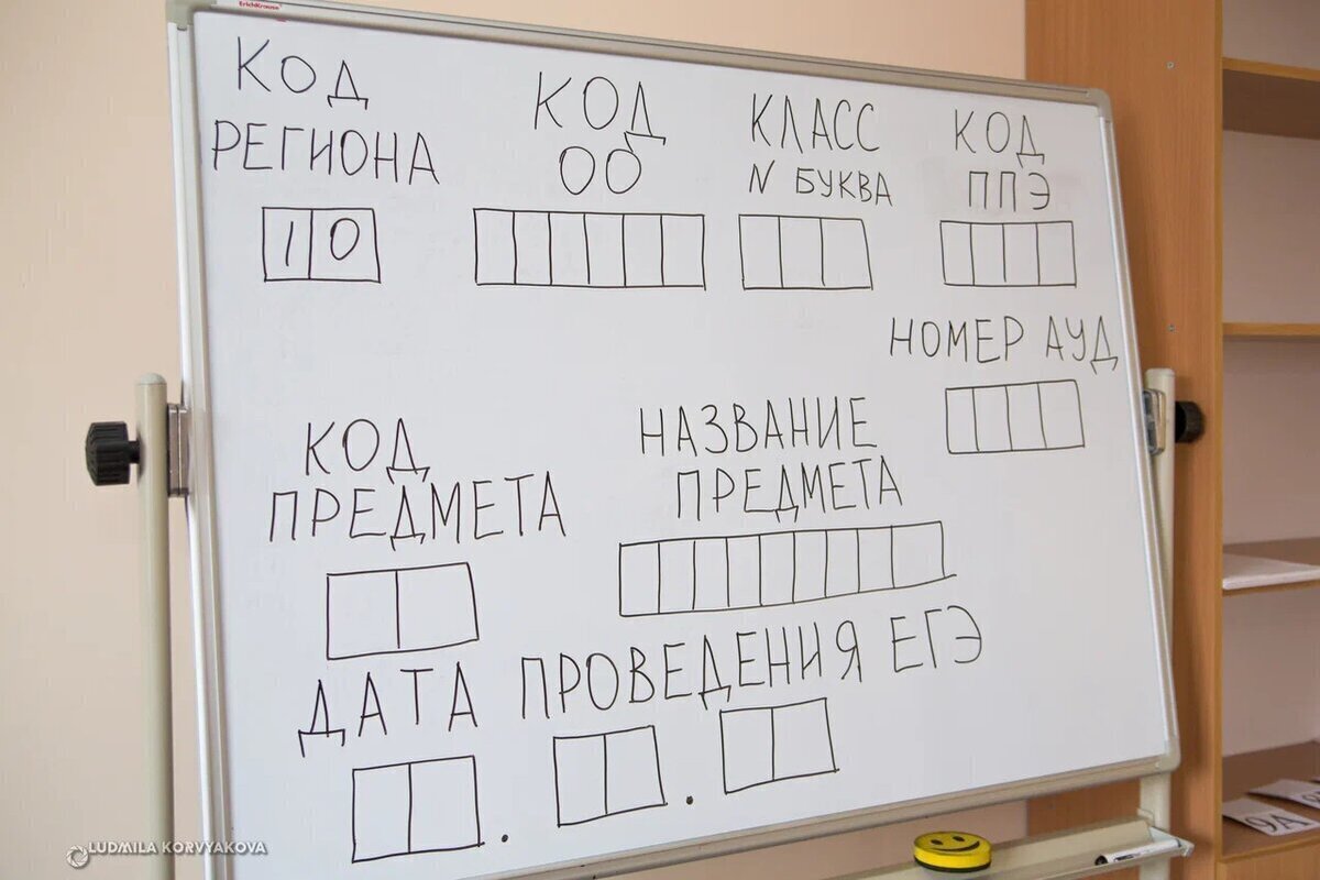 Кондопожский район стал лидером по успешной сдачи ЕГЭ в этом году