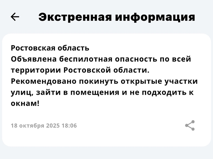 В Ростовской области 18 октября объявлена опасность связанная с беспилотниками