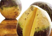 Брюква вкусна, питательна и универсальна в кулинарии. Регулярное употребление блюд из этого корнеплода может оказать благоприятное воздействие на здоровье, укрепить иммунитет и разнообразить привычное меню. 