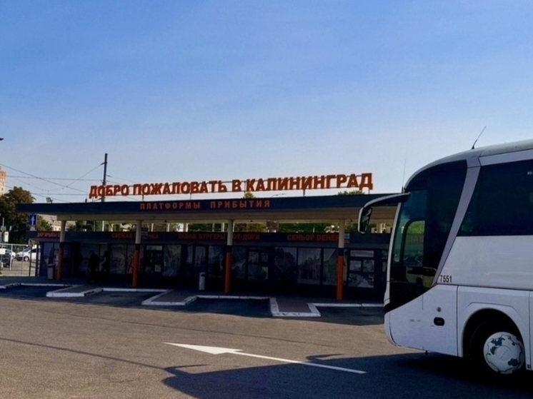 Автовокзал Калининграда сменит статус и руководство