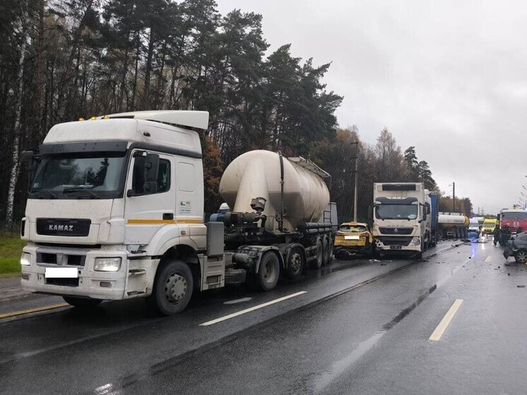 В массовом ДТП на трассе "Крым" в районе Серпухова погибли два человека, два ребенка пострадали