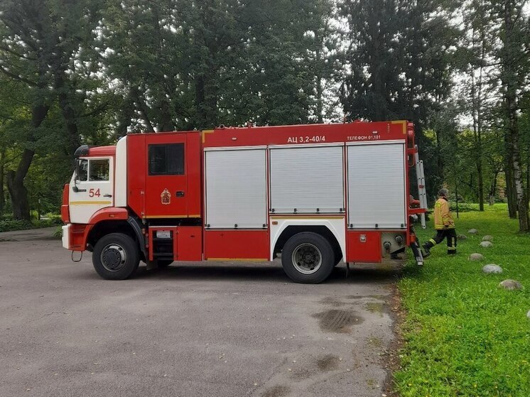 Пожарные потушили пожар в нежилом доме в Молочном