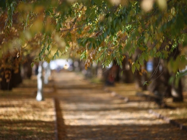 Чего нельзя делать 19 октября, в Фомин день