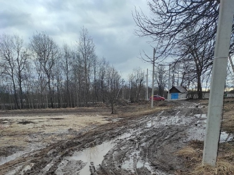 Часть дороги Пекша-Ларионово-Караваево во Владимирской области превратилась в месиво