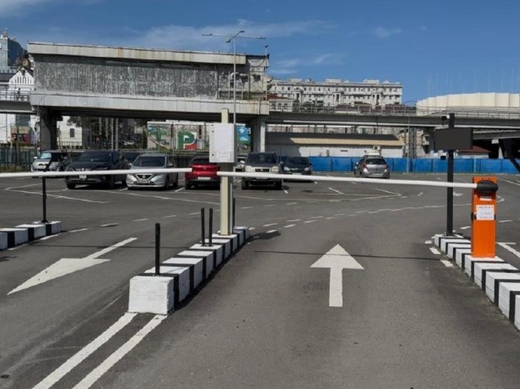 На новых парковках Владивостока 2400 раз останавливались машины