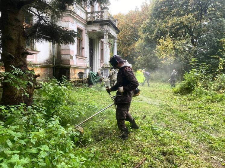 Калининградцы вышли на субботник в парке «Приморский»