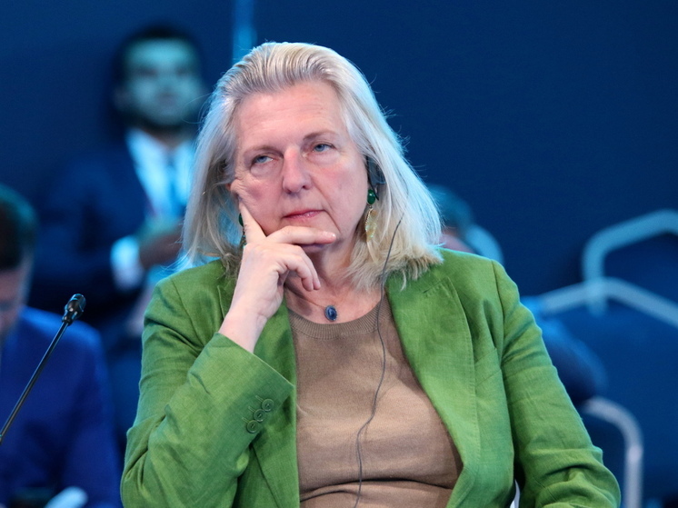 Кнайсль заявила, что Швейцария и Австрия де-факто утратили нейтралитет