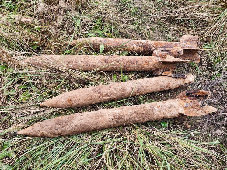 В Вяземском округе обезврежены взрывоопасные предметы времен ВОВ