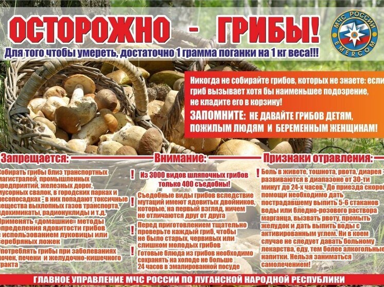 Спасатели ЛНР призвали отказаться от сбора малознакомых грибов