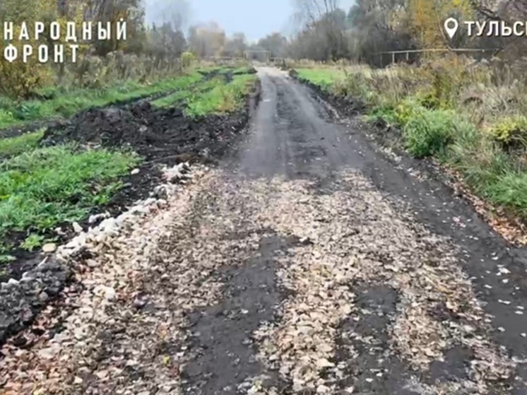 Тульский ОНФ показал «грязное месиво» вместо дороги в Луговом