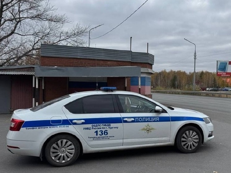 В Зауралье за сутки исключили из процесса движения 12 пьяных водителей