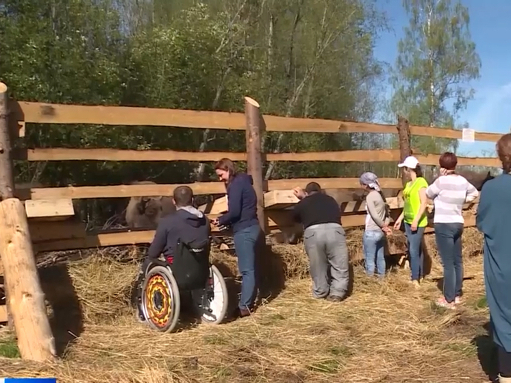 Популяция зубров в Смоленском Поозерье пополнится новыми особями