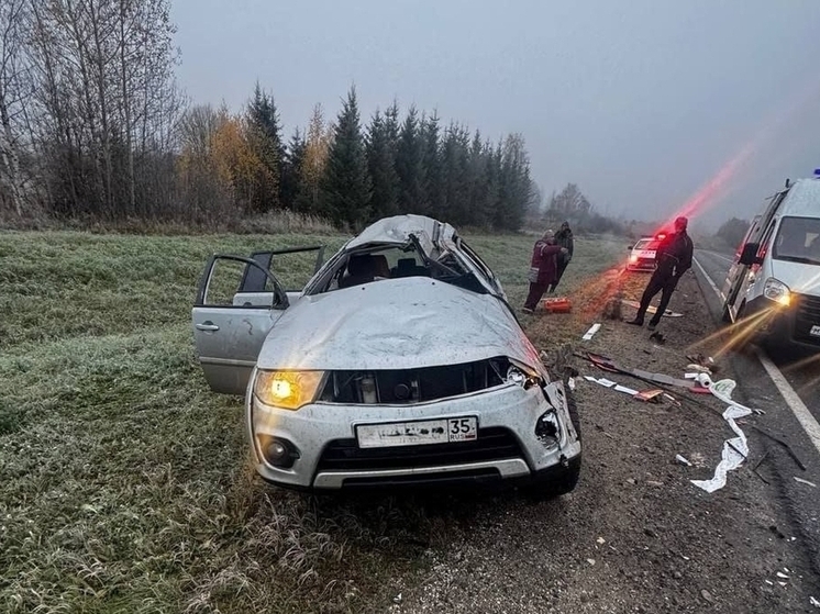 В Вологодской области погиб водитель вылетевшего в кювет автомобиля