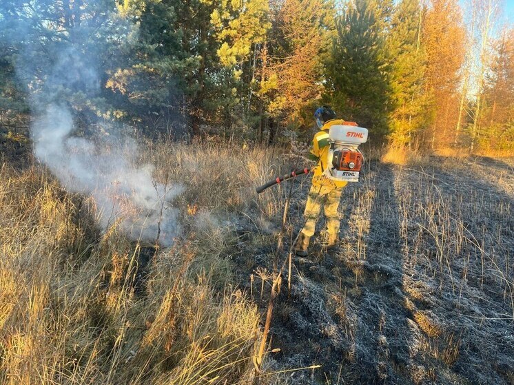 В Енисейском округе Красноярска пожарные потушили траву около дороги