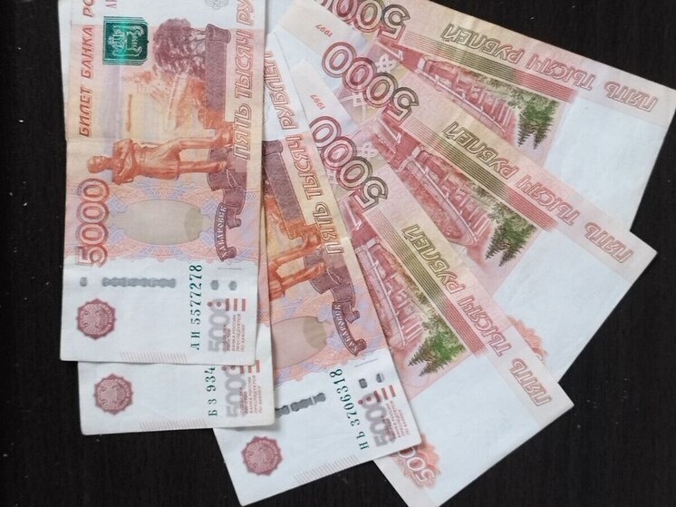 Мурманские предприниматели могут получить субсидию до 600 тысяч рублей
