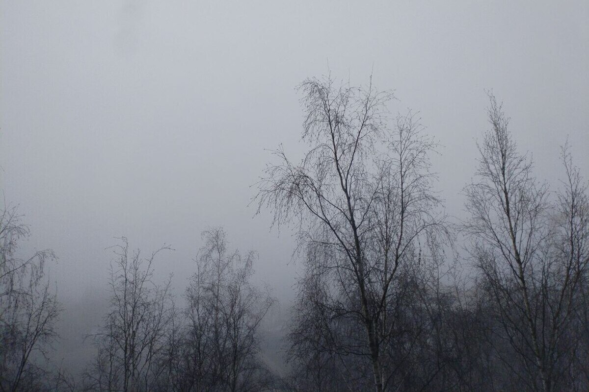 В Калининград пришли мороз и туман, но днем потеплеет до +10