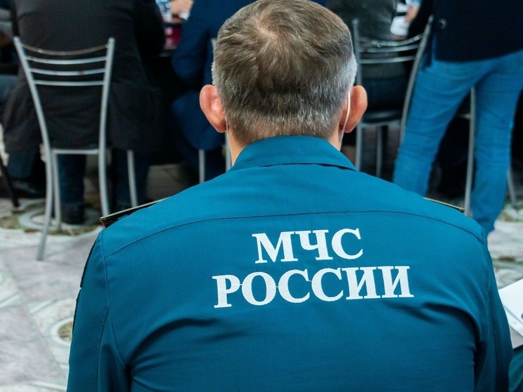 Сотрудники МЧС Челябинской области проверили электропроводку в домах семей из группы риска