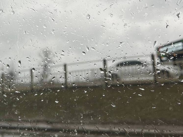 Воронежцы встретят новую неделю дождями и прохладой