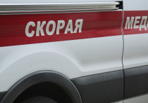Два пенсионера попали под колеса автомобиля во время перехода по «зебре» Киевского шоссе и скончались на месте