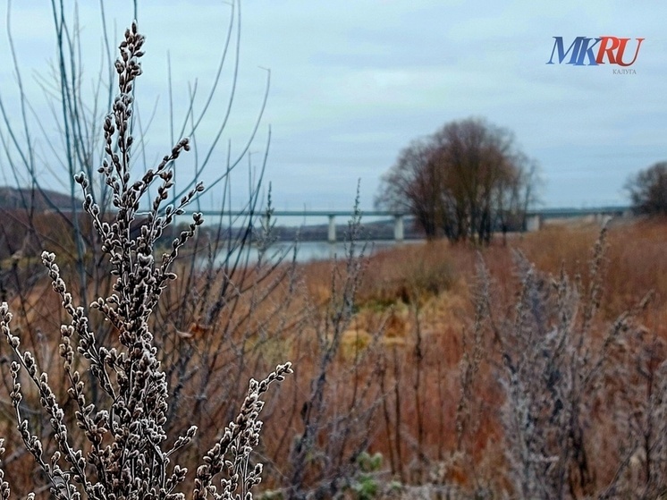 Понедельник в Калужской области выдастся слегка дождливым