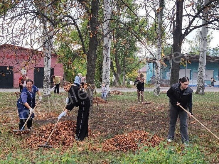 Четырнадцать несанкционированных свалок ликвидировали в Донецке