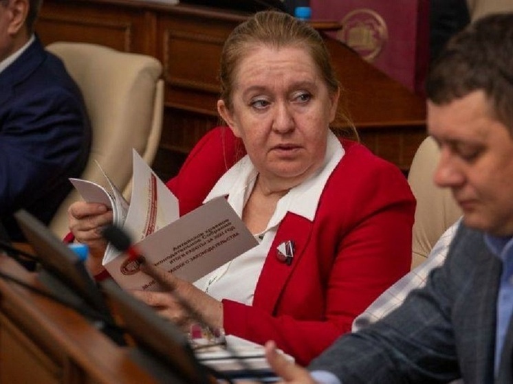 Депутат АКЗС опасается, что закон о «локализации такси» может привести к социальной катастрофе.