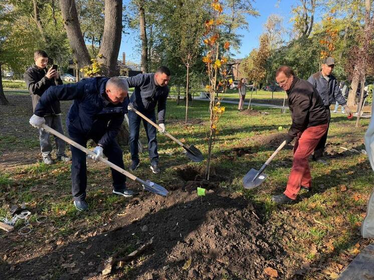 Три тысячи деревьев и шесть тысяч кустарников высадили в Ростове в день Древонасаждения