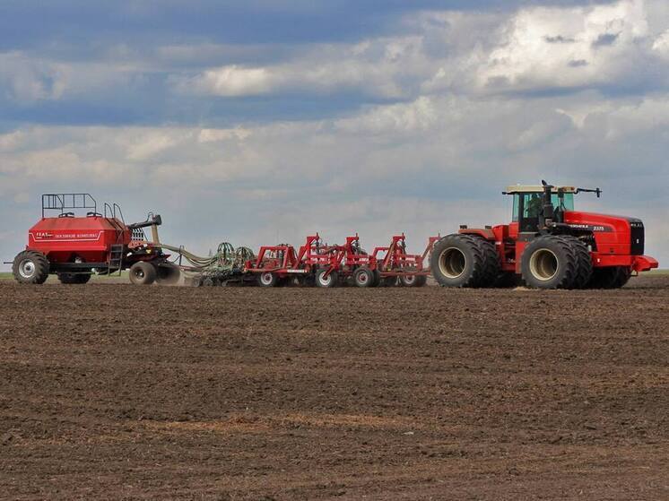 В ДНР столкнулись с проблемой при посеве озимых культур