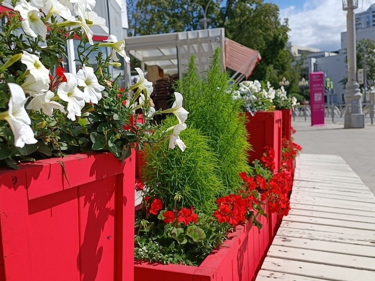 В Нижнем Тагиле высадили свыше тысячи декоративных растений и сотни кустов