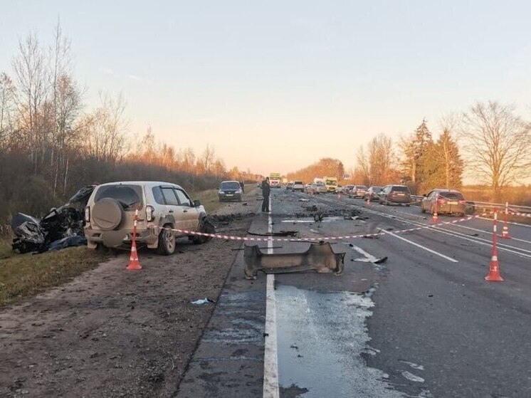 В Шимском округе в ДТП погибли двое взрослых и ребенок