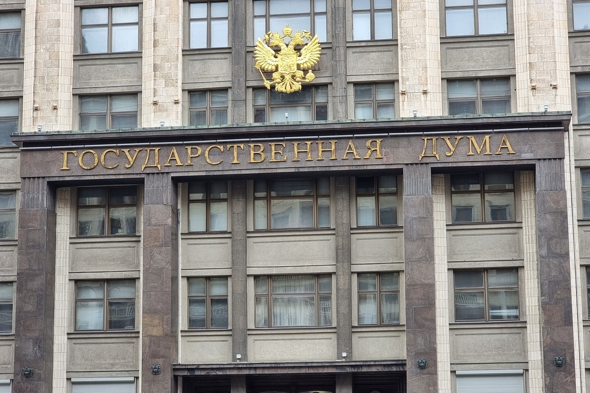 "Хватит экспериментов!": в Госдуме потребовали заморозить реформы образования