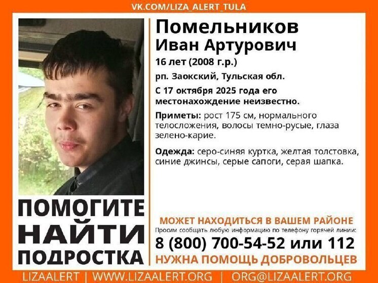 В Тульской области разыскивают пропавшего 16-летнего подростка