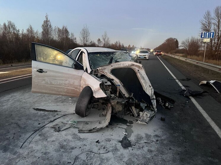 Погибшему в Шимском округе маленькому пассажиру было всего три месяца