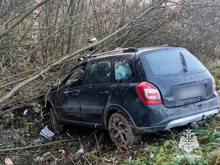 В Тверской области машина съехала в кювет, пострадал водитель