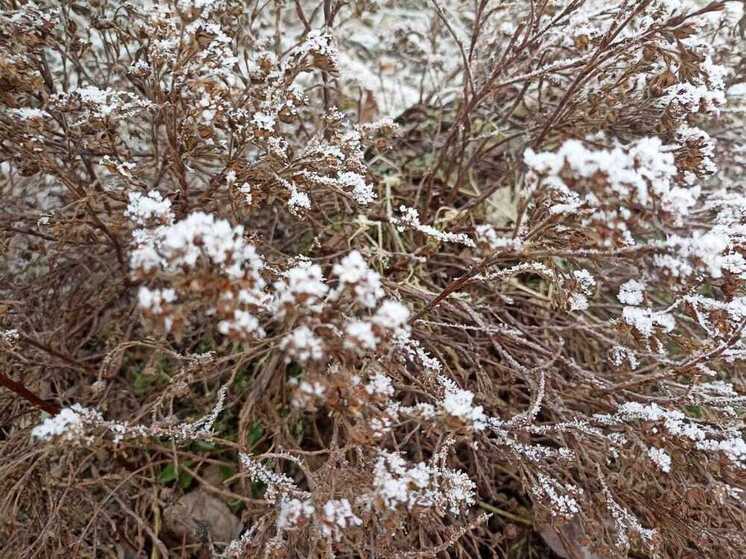 Температурные качели раскачают Хакасию 20 октября