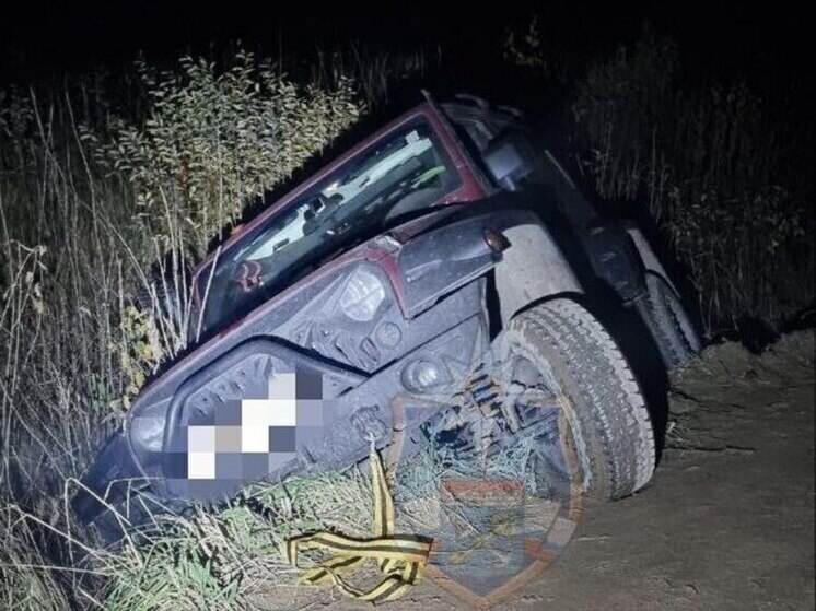 В Кировском районе спасатели помогли застрявшим жителям