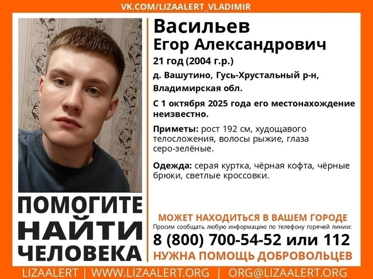Во Владимирской области бесследно исчез молодой человек