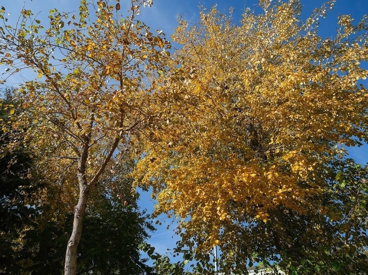  Что запрещено делать 20 октября, чтобы беды обошли дом стороной