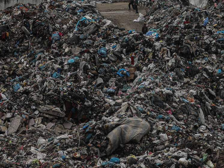 Проверки на мусорных полигонов РФ у аэропортов выявили одну закономерность