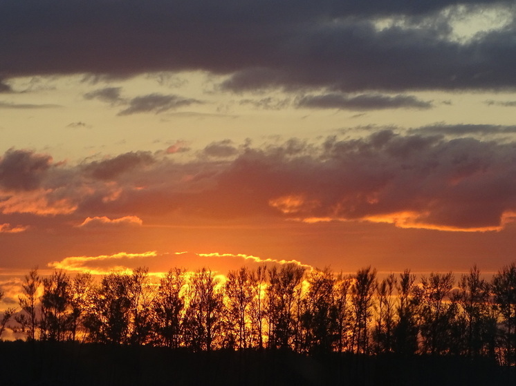 Жители Ставрополья смогут наблюдать самую яркую комету 2025 года